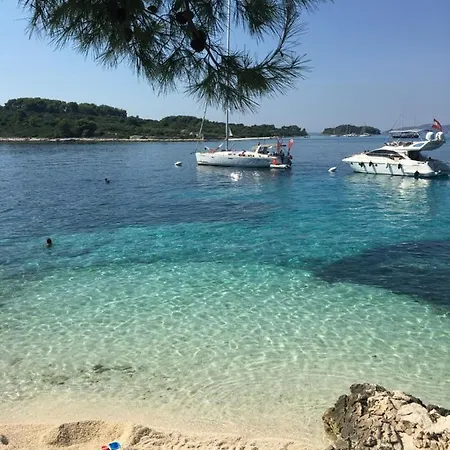 Mak Trogir